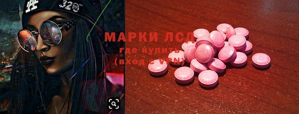 спайс Бородино