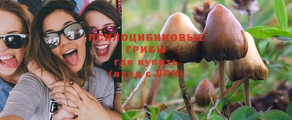 гидропоника Богородск